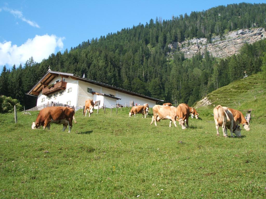 Hotel Grieswirt à St. Johann in Tirol Extérieur photo